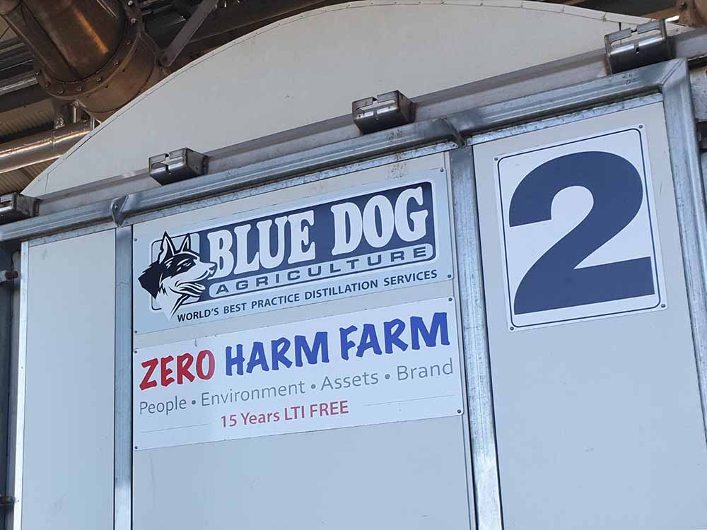 Tea Tree Oil Distillation Process